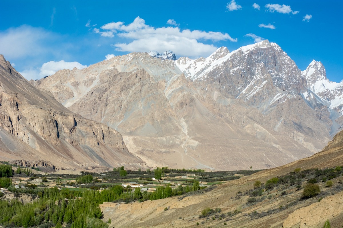 DSC_7133 (1)