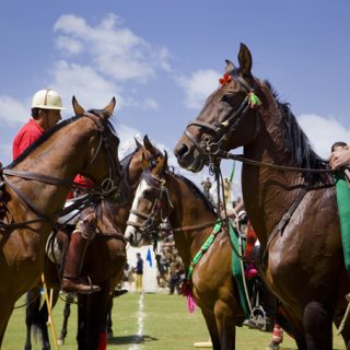 Shandur Polo Festival 2025