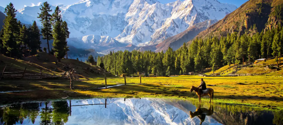 Fairy Meadows and Nanga Parbat Base - FT Travel & Tours