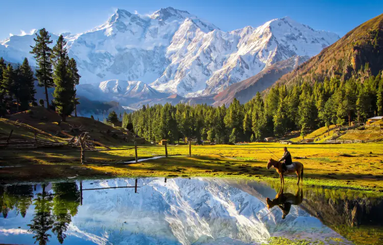 Fairy Meadows and Nanga Parbat Base - FT Travel & Tours